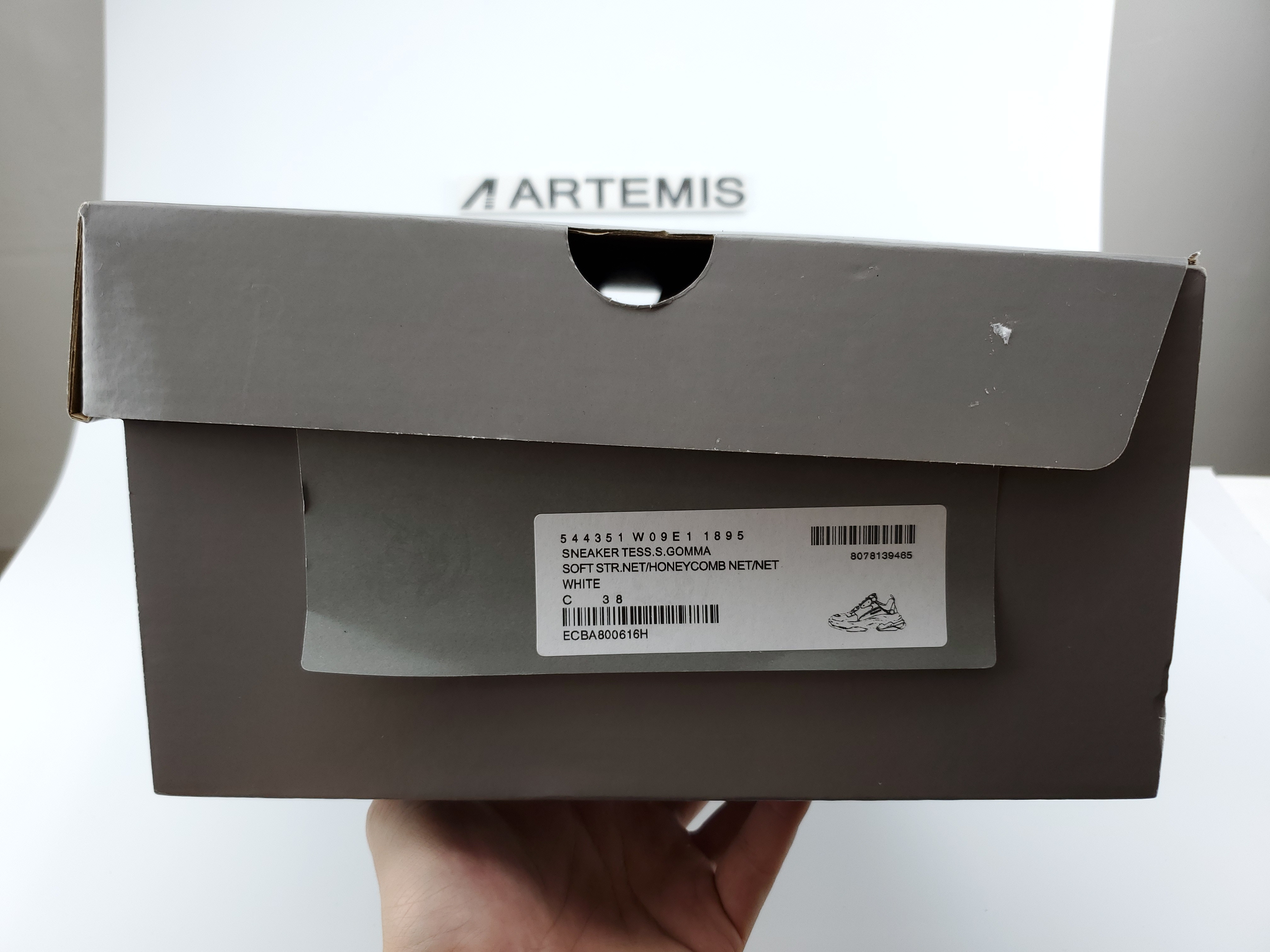 Balenciga Triple S Rainbow